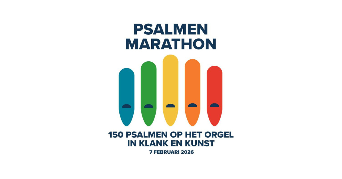 logo psm bericht website